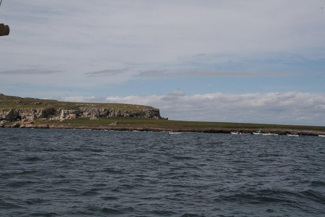 Hidden Beach Marietas Islands Experience - Tour Overview