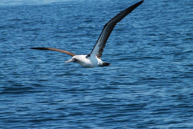 Hidden Beach Marietas Islands Experience - Common Questions