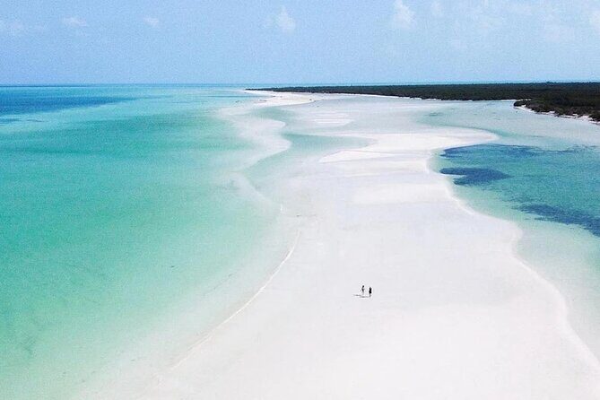 Hidden Beauty at Holbox Island Tour! From Cancun & Riviera Maya - Good To Know