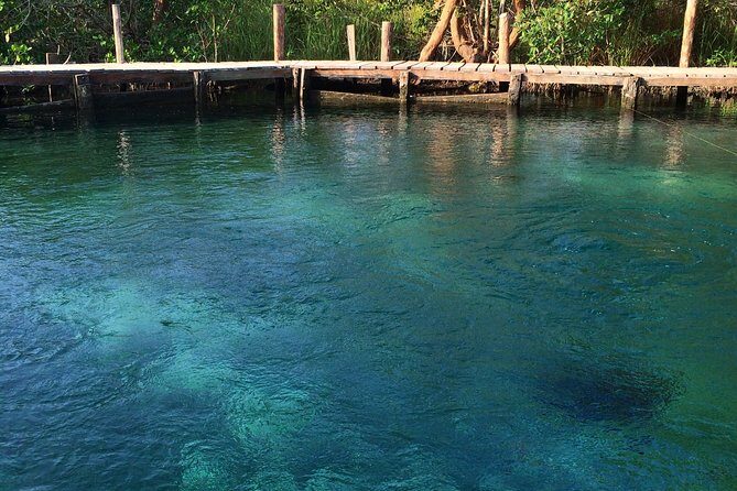 Hidden Beauty at Holbox Island Tour! From Cancun & Riviera Maya - Authentic Experiences from Travelers