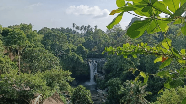 Hidden Beauty of Bali East Tour Attraction - Inclusions for a Memorable Trip