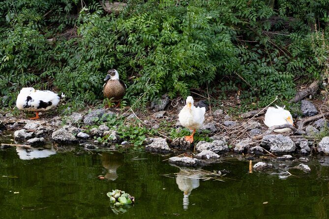 Hidden Canals of Tláhuac: A Peaceful Alternative to Xochimilco - Final Thoughts