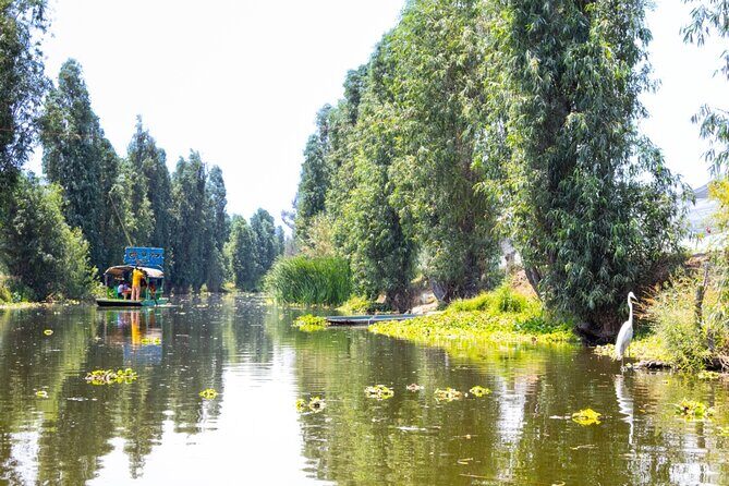 Hidden Canals of Tláhuac: A Peaceful Alternative to Xochimilco - FAQ