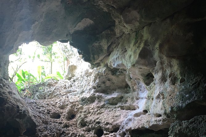 Hidden Caves of the North, Puerto Rico Private Tour - Tour Overview and Details
