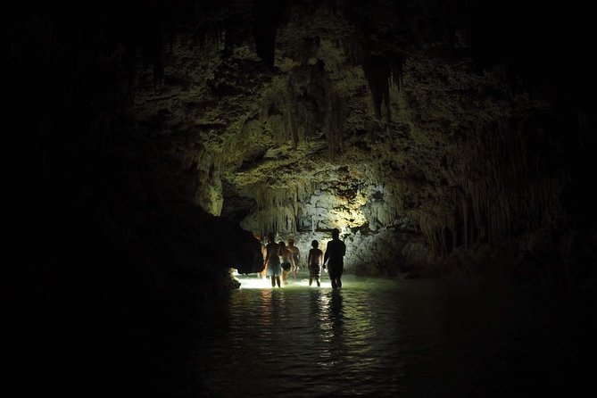 Hidden Cenote Exploration in Playa Del Carmen - Additional Information and Support