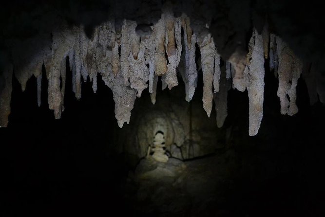 Hidden Cenote Exploration in Playa Del Carmen - The Sum Up