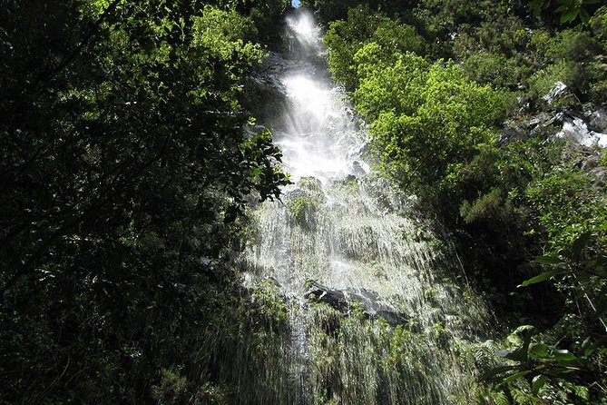 Hidden Corners: Levada Walk From Funchal - Tour Details
