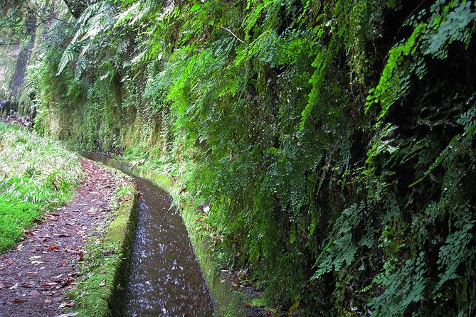 Hidden Corners: Levada Walk From Funchal - What To Expect