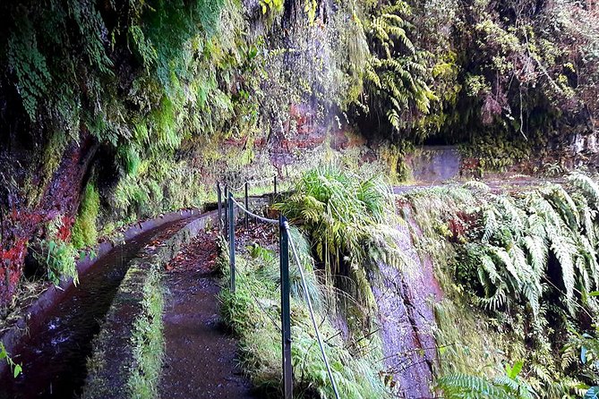 Hidden Corners: Levada Walk From Funchal - Additional Information