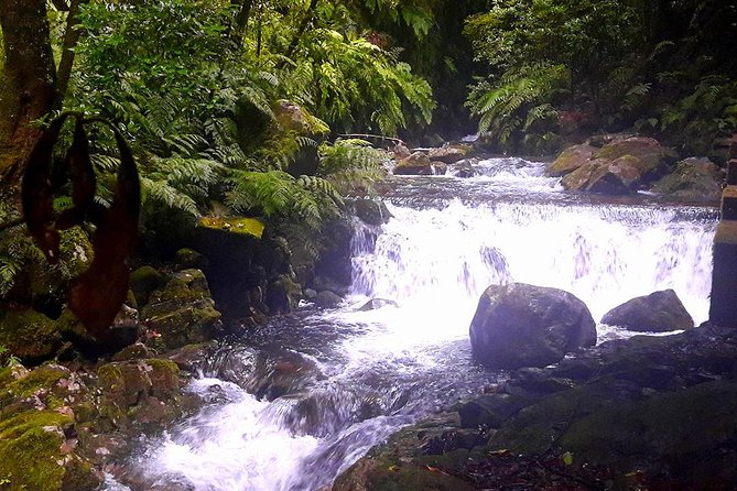 Hidden Corners: Levada Walk From Funchal - Tips and Recommendations