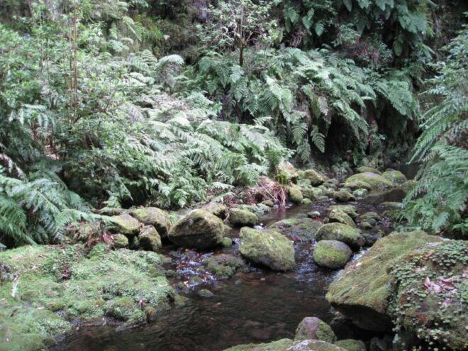 Hidden Corners, the Kings Levada Full Day Hike - Itinerary