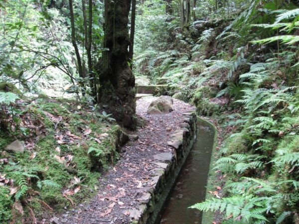 Hidden Corners, the Kings Levada Full Day Hike - The Sum Up