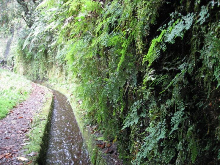 Hidden Corners, the Kings Levada Full Day Hike - Activity Details