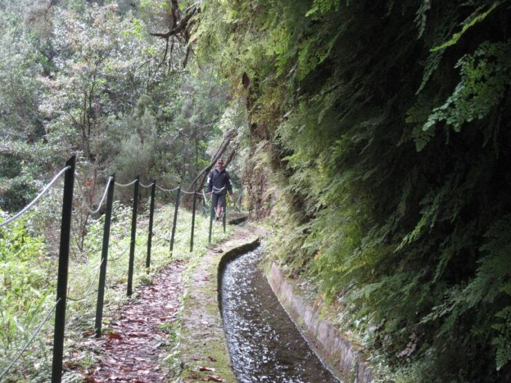 Hidden Corners, the Kings Levada Full Day Hike - Experience Highlights