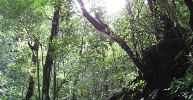 Hidden Corners, the Kings Levada Full Day Hike - Pickup and Drop-off Locations