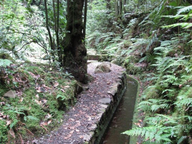 Hidden Corners, the Kings Levada Full Day Hike - Itinerary Overview