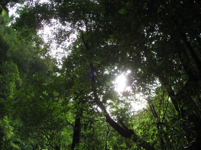 Hidden Corners, the Kings Levada Full Day Hike - Tips and Recommendations