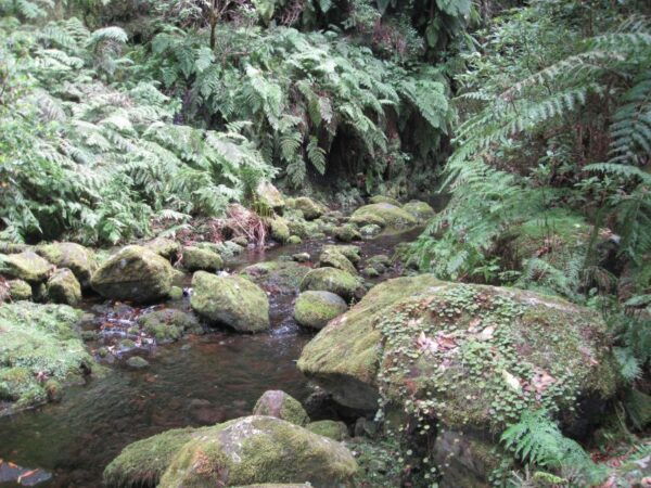 Hidden Corners, the Kings Levada Full Day Hike - Safety Precautions