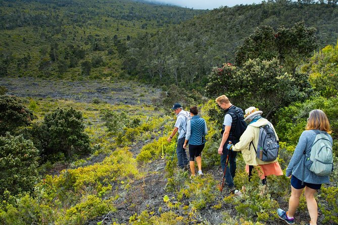 Hidden Craters Hike - Traveler Photos