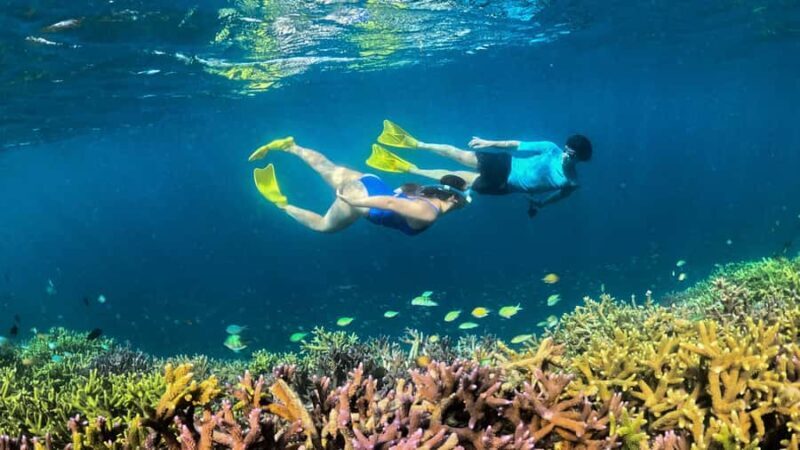 Hidden East Gili's Lombok Private Snorkeling Tour - Practical Aspects & Value