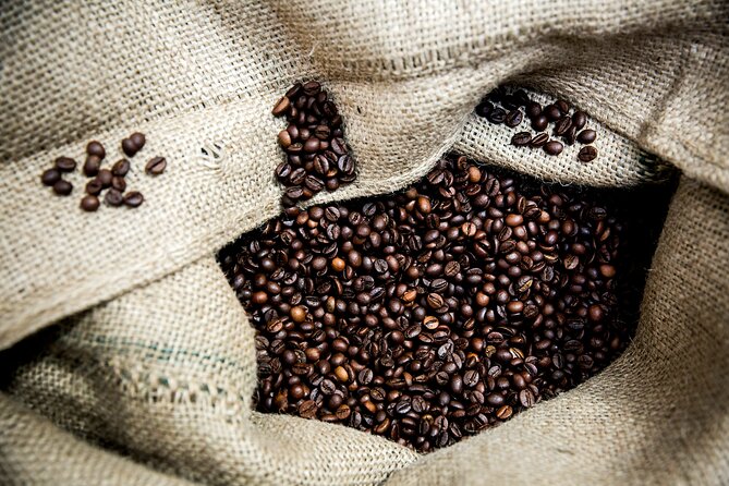 Hidden Flavors of the Hillside: Mouraria & Graça - Traveler Photos and Reviews