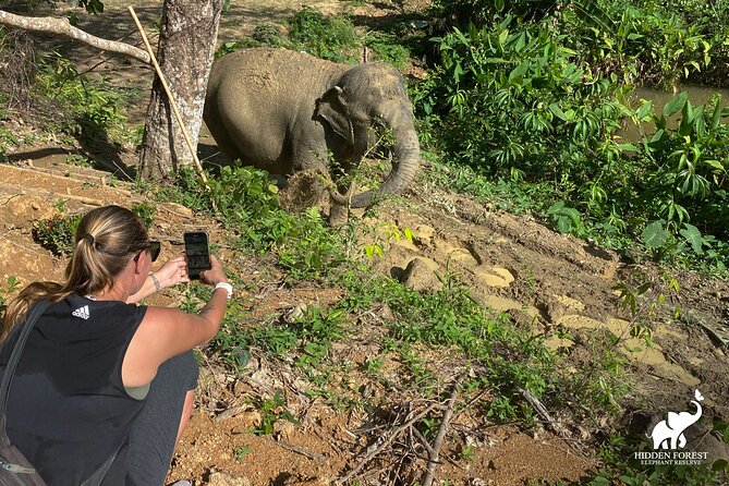 Hidden Forest Elephant Reserve: Guided Tour With Lunch & Transfer - Cancellation Policy