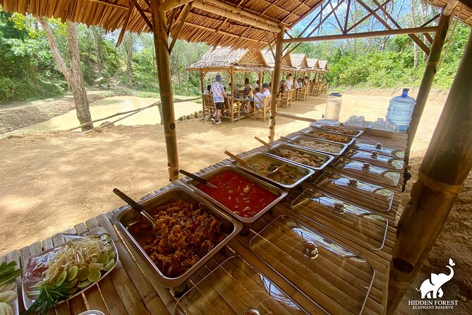 Hidden Forest Elephant Reserve: Guided Tour With Lunch & Transfer - The Sum Up