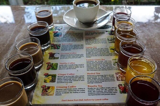 Hidden Gem BEDUGUL TOUR - Authentic Insights from Past Visitors