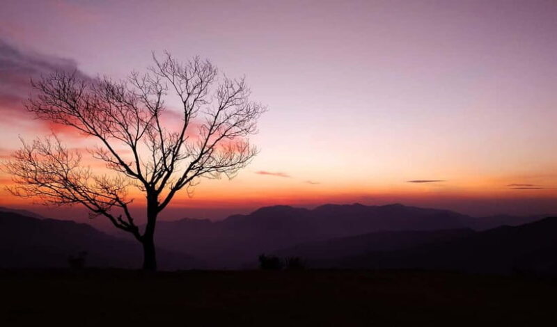 Hidden Gem of Mussoorie: Benog Hill Serenity Trek - The Itinerary in Detail