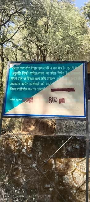 Hidden Gem of Mussoorie: Benog Hill Serenity Trek - Additional Information for Travelers