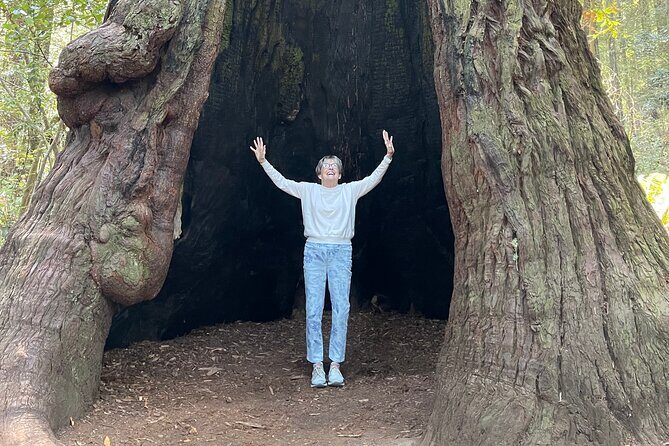 Hidden Gems Adventure in West Sonoma County - Who Should Consider This Tour?