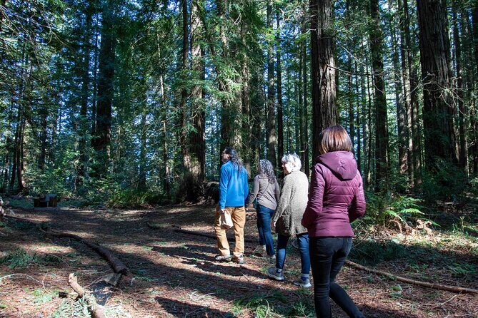 Hidden Gems Adventure in West Sonoma County - Final Thoughts