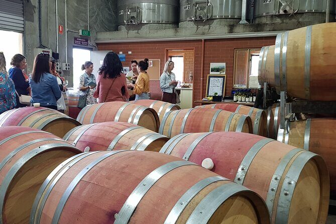 Hidden Gems: Boutique Full-Day Wine, Farm & Lunch Tour - Practical Tips & Considerations