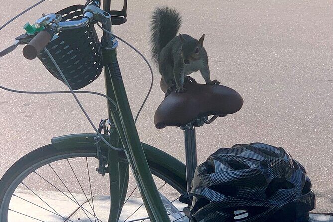 Hidden Gems Foodie Bicycling Tour of Downtown St Petersburg - Final Thoughts