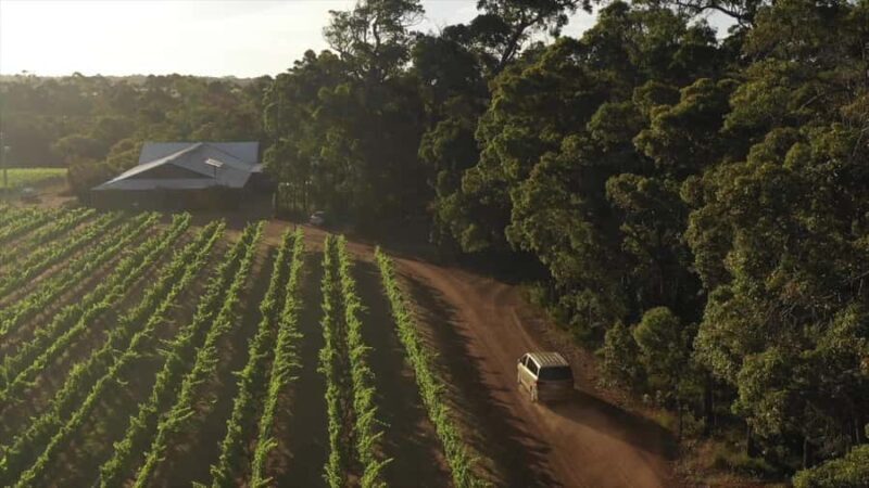 Hidden Gems Margaret River: Authentic Wine & Farm Experience - In The Sum Up