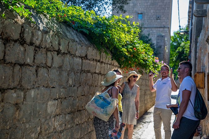 Hidden Gems Odyssey: Private Elaphiti Islands & Blue Cave Tour - Reviews