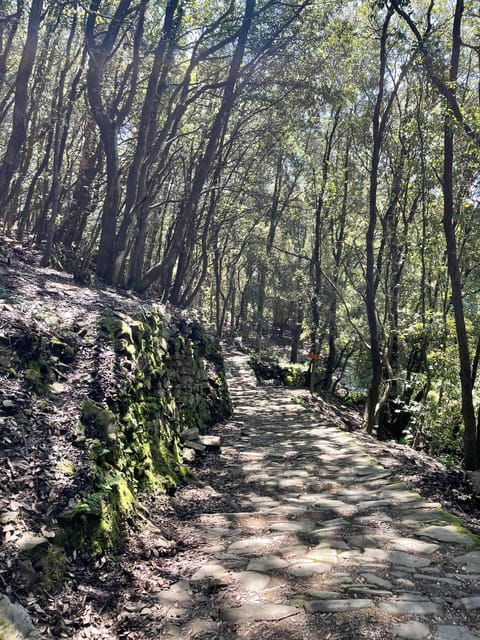 Hidden Gems of 5 Terre, Geo Trek Loop - Good To Know