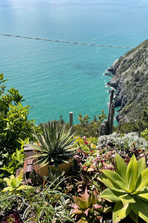 Hidden Gems of 5 Terre, Geo Trek Loop - Detailed Itinerary