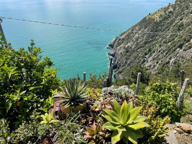 Hidden Gems of 5 Terre, Geo Trek Loop - Transportation Options