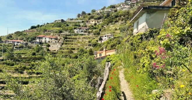 Hidden Gems of 5 Terre, Geo Trek Loop - Highlights of the Experience