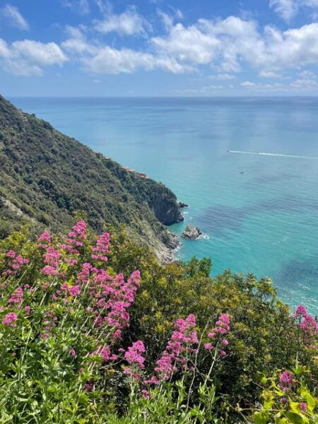 Hidden Gems of 5 Terre, Geo Trek Loop - Fitness and Safety Guidelines
