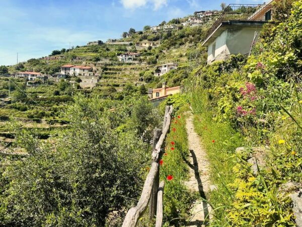 Hidden Gems of 5 Terre, Geo Trek Loop - Scenic Stops Along the Way