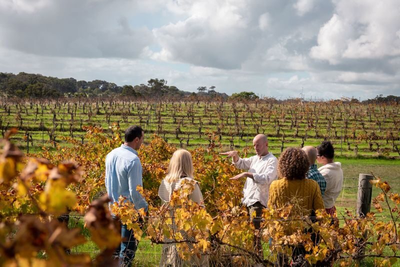 Hidden Gems of Margaret River: Wine, Italian Lunch & Emu Feeding - A farm morning before the wine begins