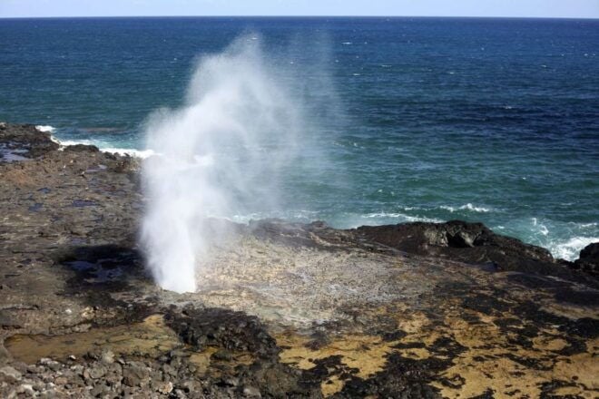 Hidden Gems of Oahu Circle Island Tour With Byodo-In Temple - Green Sea Turtle Spotting