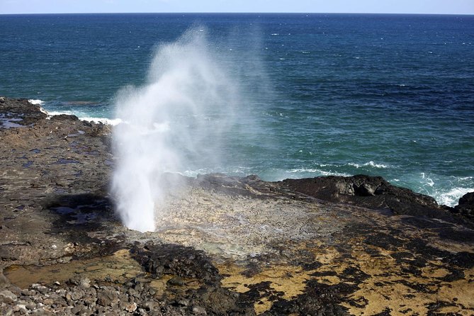 Hidden Gems of Oahu - Circle Island Tour With Waimea Waterfall - Reviews