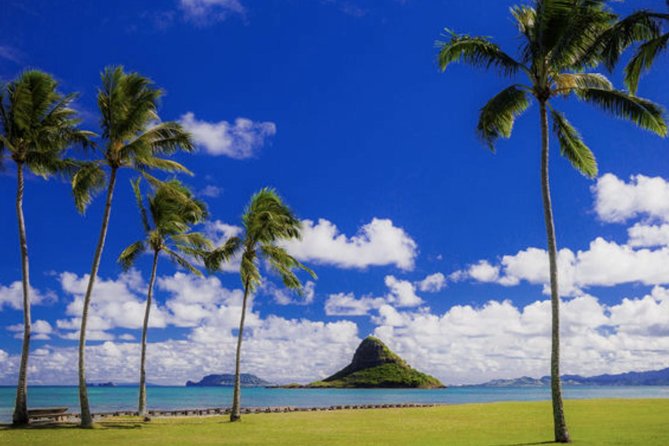 Hidden Gems of Oahu - Circle Island Tour With Waimea Waterfall - Featured Review