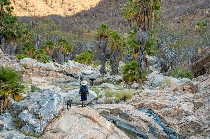 Hidden Gems of Sierra Laguna: El Triunfo and Natural Springs. - Pricing and Value