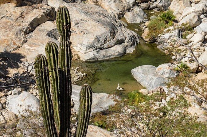 Hidden Gems of Sierra Laguna: El Triunfo and Natural Springs. - Final Thoughts