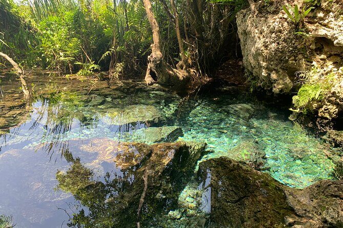 Hidden Gems of the North, Puerto Rico Private Tour - Practical Tips