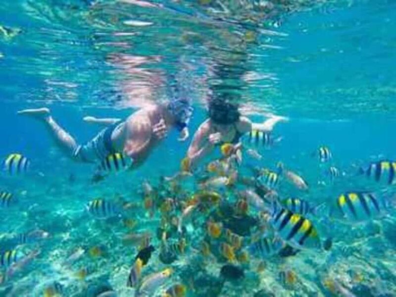 HIDDEN GEMS SECREAT ISLAND ( NAGGU, SUDAK & KEDIS ) - What Makes the Hidden Gems Island Tour Special